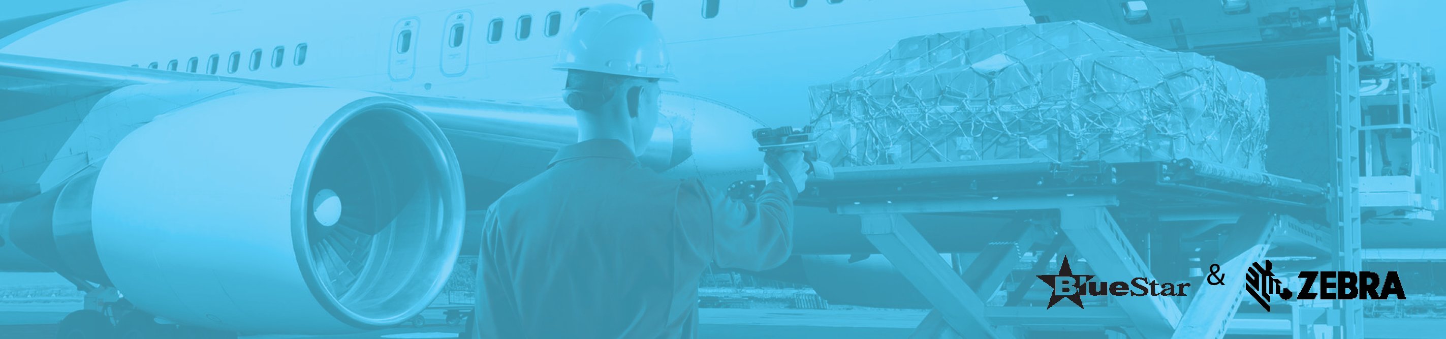 Zebra stock availability at BlueStar